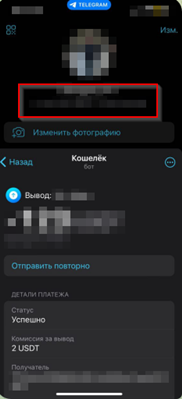 кастодиальные и некастодиальные кошельки